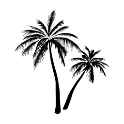 Silueta de palmera negra Diseño PNG