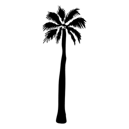 Ilustración de silueta de palmera alta Diseño PNG