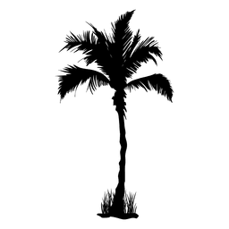 Palmeira silhueta de verão Desenho PNG