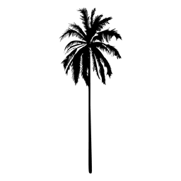 Palmera de silueta de pie recto Diseño PNG