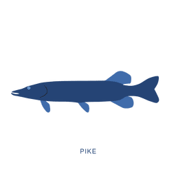 Hecht-Fischentier PNG-Design
