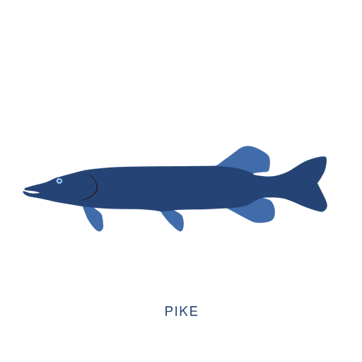 Pike fish fishing animal Transparent PNG Pike fish fishing animal Transparent PNG