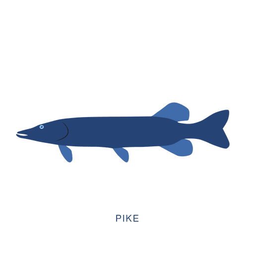 Pike pescando animales Diseño PNG