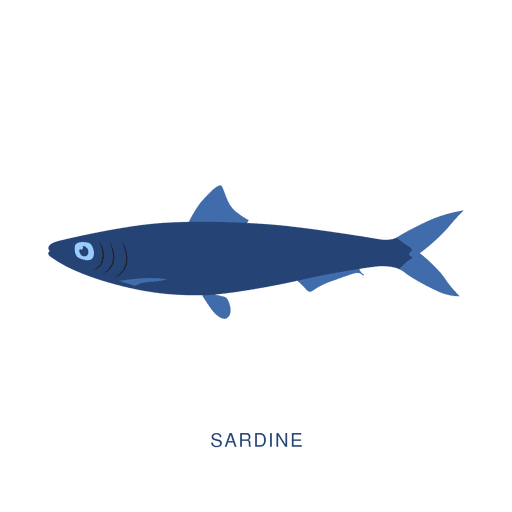 Download Sardine fish fishing animal - Transparent PNG & SVG vector ...