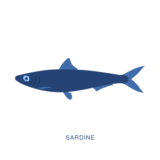 Sardine fish fishing animal PNG Design