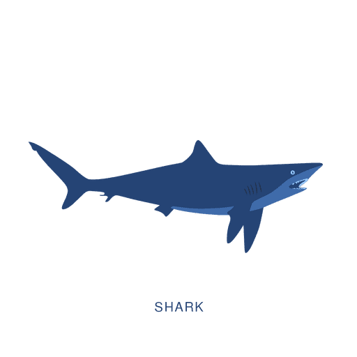 Shark fish fishing animal Transparent PNG Shark fish fishing animal Transparent PNG