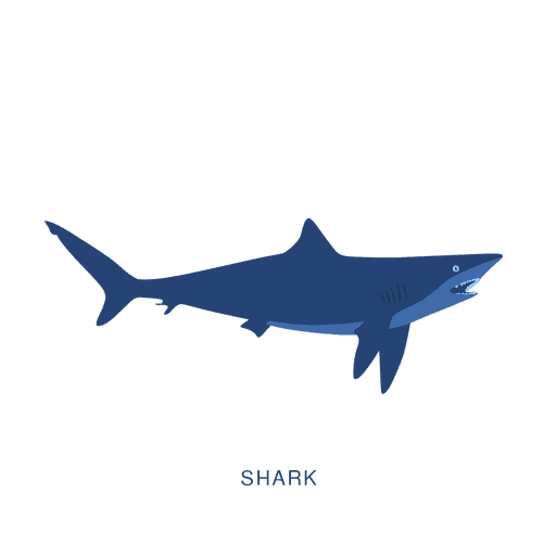 Shark fish fishing animal PNG Design