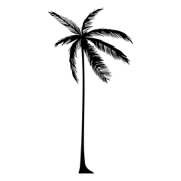 Silhueta de uma palmeira Desenho PNG