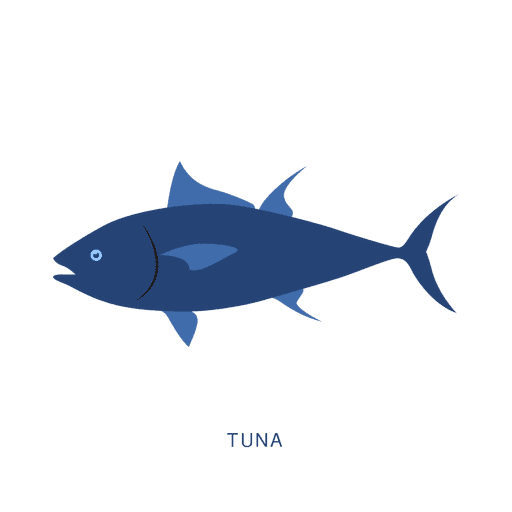 Pez de atún de pesca animal Transparent PNG Pez de atún de pesca animal Transparent PNG