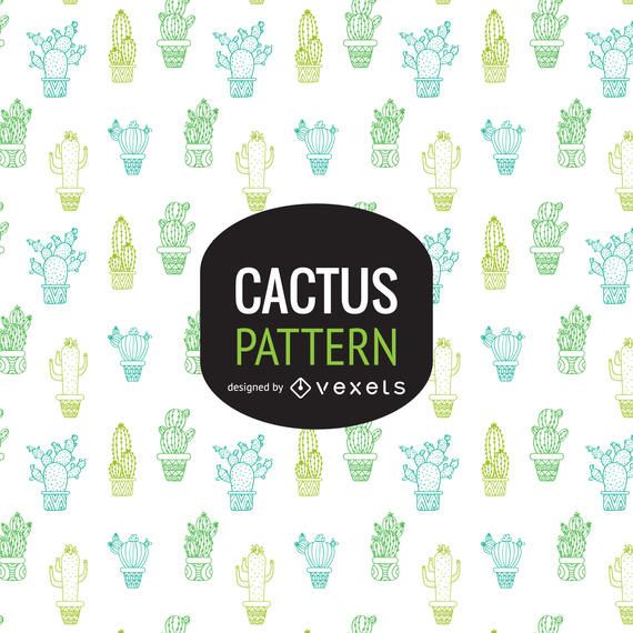 Cactus background or pattern Cactus background or pattern