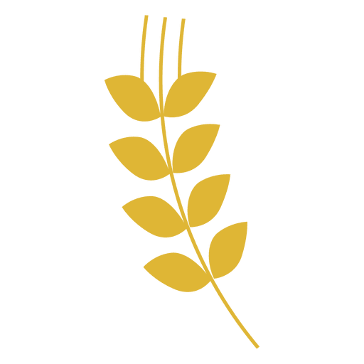 Yellow wheat sihouette PNG Design