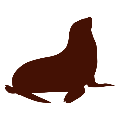 Animal sealion silhouette PNG Design
