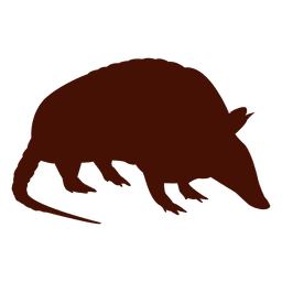 Silueta de armadillo Diseño PNG