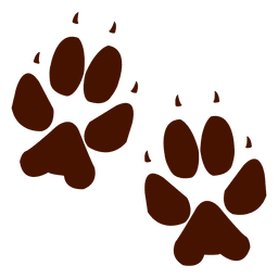 Bear animal footprint