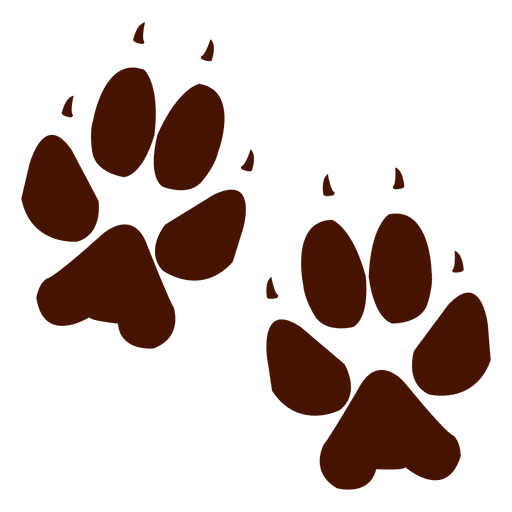 Pegada de animal de urso Desenho PNG