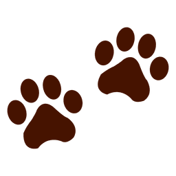 Bear footprints PNG Design Transparent PNG
