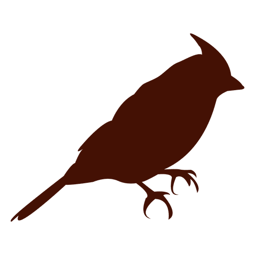 Silhueta de pássaro de estimação Desenho PNG