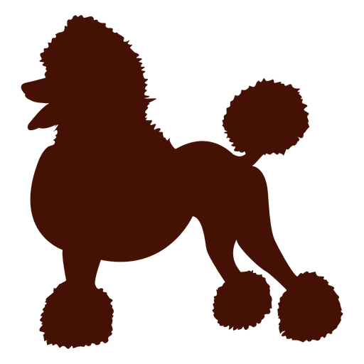 Silhueta de cachorro poodle Desenho PNG
