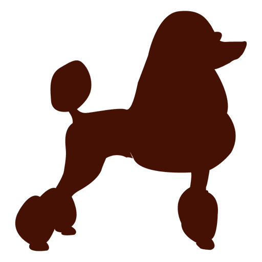 Silueta de perro caniche Diseño PNG