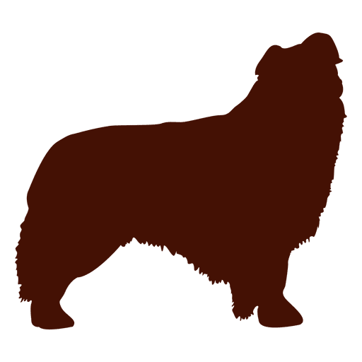 Silhueta de cachorro peludo Desenho PNG