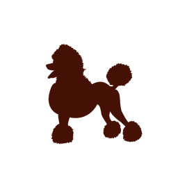 Dog poodle in red silhouette PNG Design