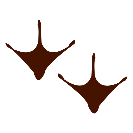 huellas de flamenco Transparent PNG huellas de flamenco Transparent PNG
