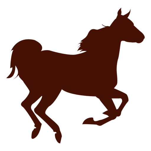 Horse farm running silhouette