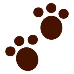 Huellas de animales de koala Diseño PNG