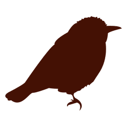 Pájaro mascota Diseño PNG