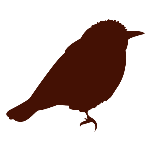 Haustier Vogel PNG-Design