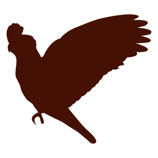 Papageienvogel-Silhouette PNG-Design
