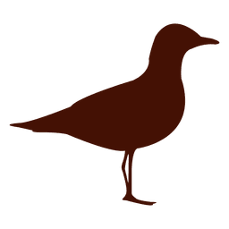 Silhueta do pássaro gaivota Desenho PNG