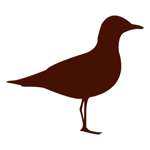 Seagull bird silhouette PNG Design