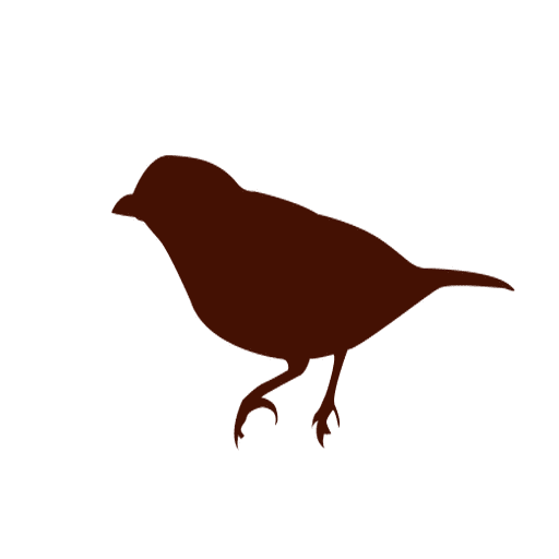 Silhueta de pássaro passeriforme Desenho PNG
