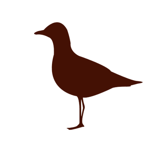 Silhueta de aves marinhas Desenho PNG