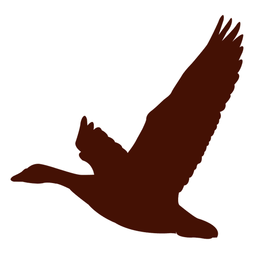 Bird goose flying silhouette