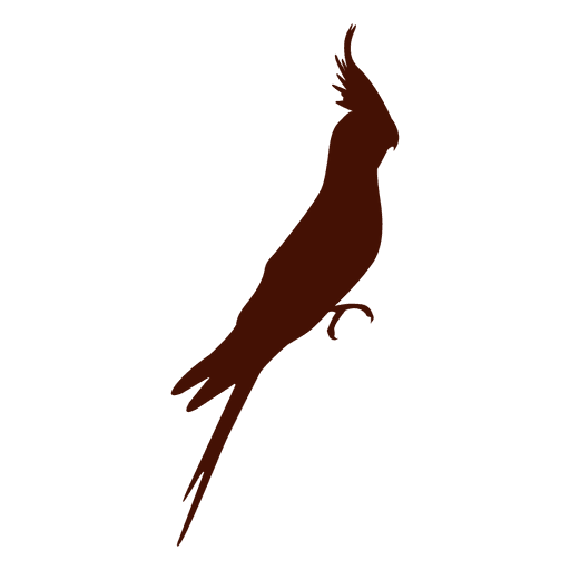 Silueta de pájaro tropical Diseño PNG