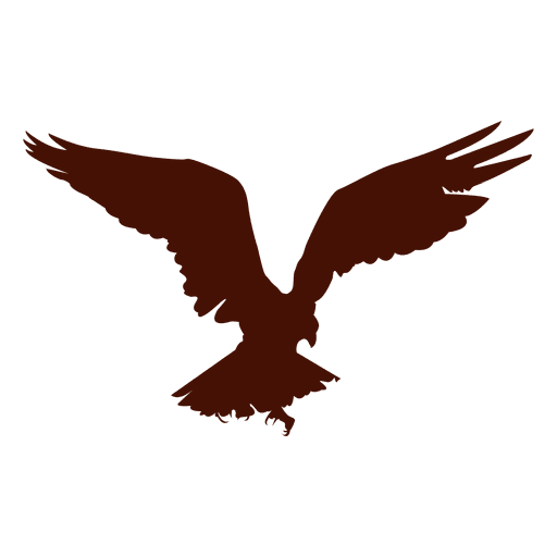 Silhueta do pássaro águia Desenho PNG