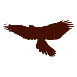 Silueta de pájaro halcón Diseño PNG