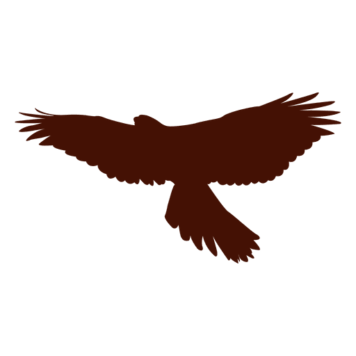 Silueta de pájaro halcón Diseño PNG