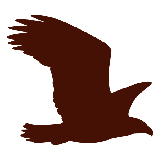 Águila volando silueta Diseño PNG