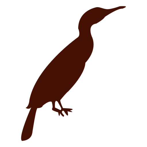 Silueta de pájaro zoológico Diseño PNG