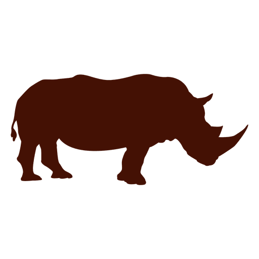 rhinoceros graphics