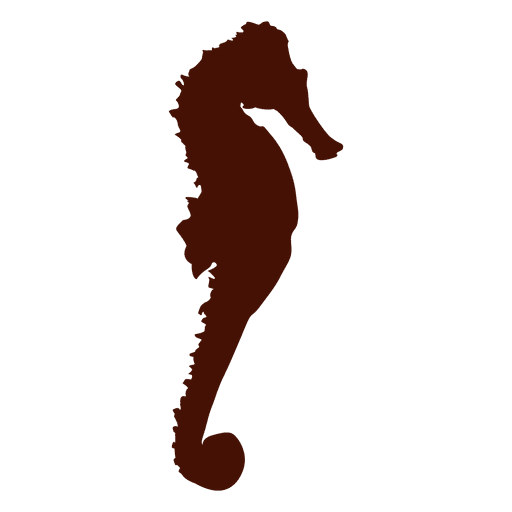 Silhueta de cavalos-marinhos Desenho PNG