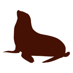 Ilustração da silhueta do leão-marinho Desenho PNG