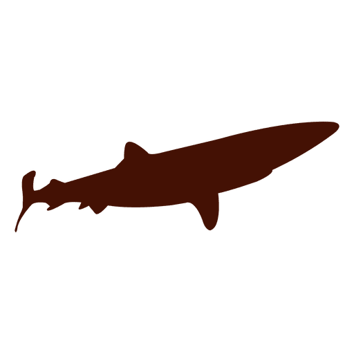 Gran silueta de tiburón Diseño PNG