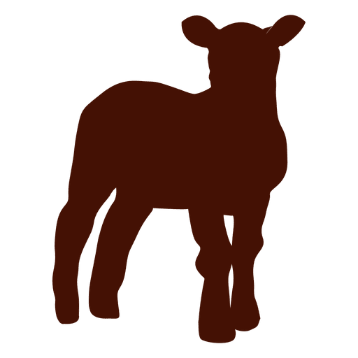 Newborn sheep farm silhouette