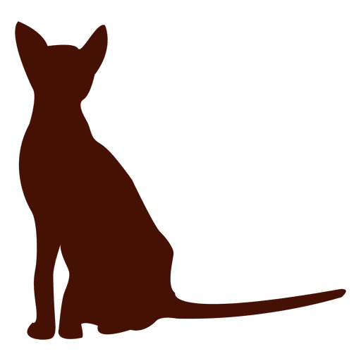 Silhouette cat feline  PNG Design