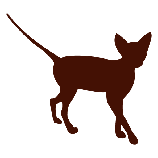 Gato gatinho silhueta animal de estimação Desenho PNG