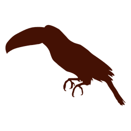 Silhueta do pássaro tucano Desenho PNG
